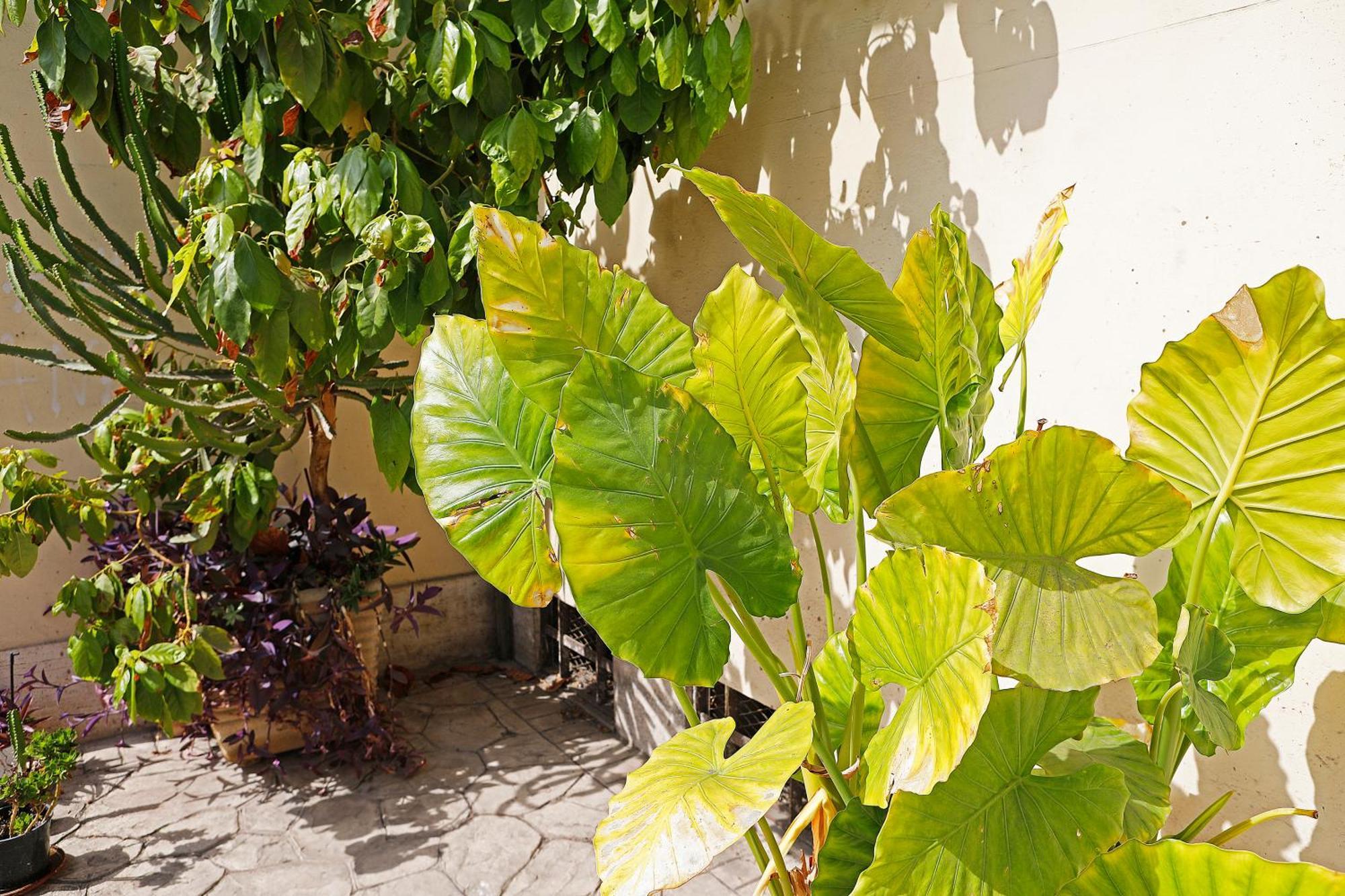 San Martino Bed & Breakfast - Rome — Photos 1